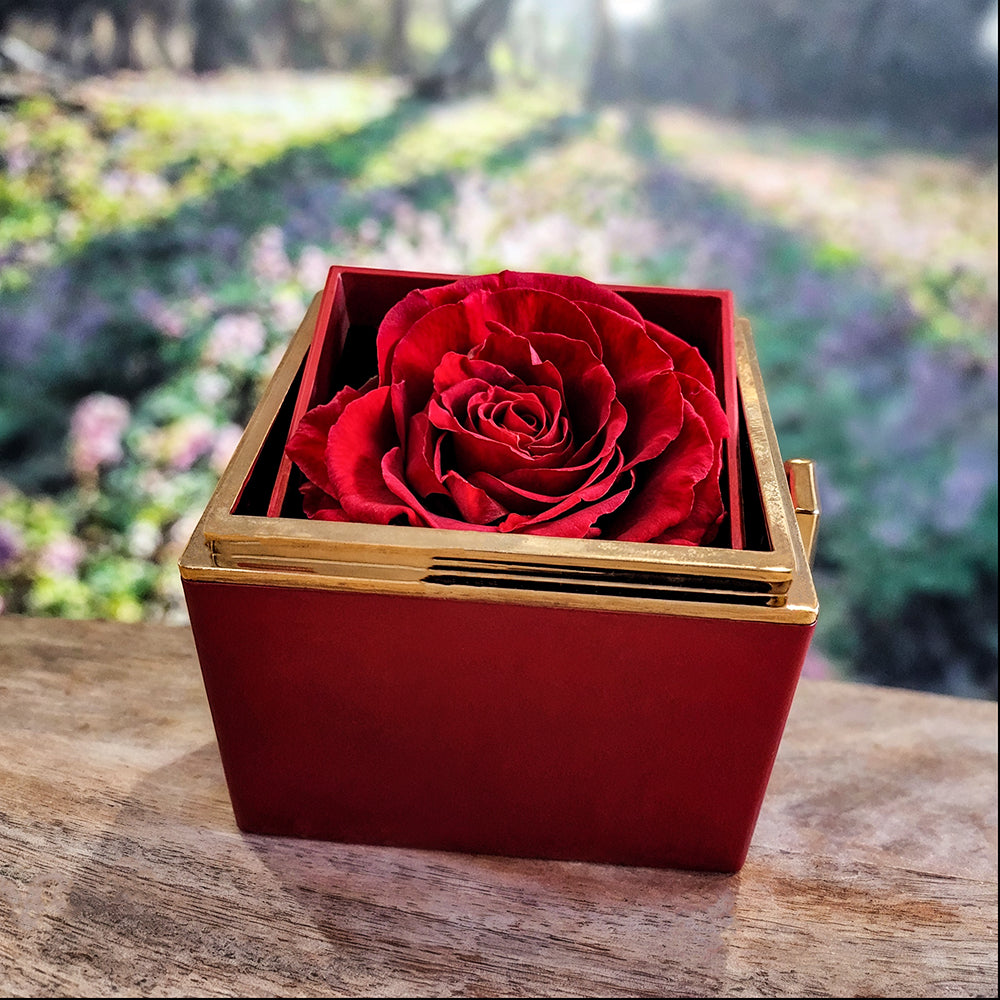 To My Beautiful Soulmate - Love Knot Necklace with Rotating Rose Gift Box